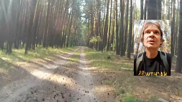 Горелый лес