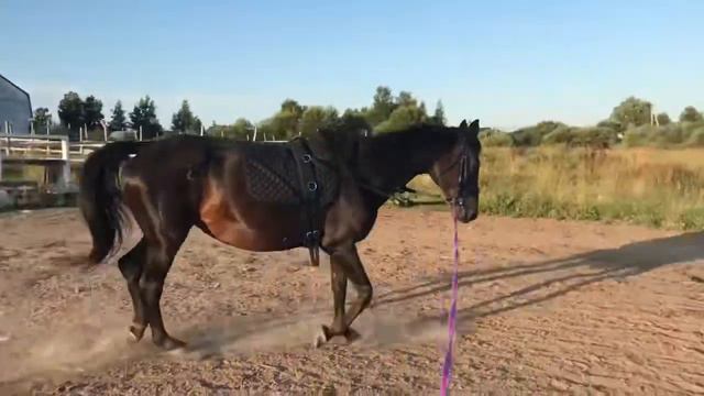 Путь большого всадника работа на развязках смотреть онлайн