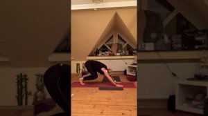 Yoga Fitness