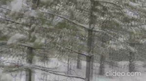 Слушание музыки в подготовительной группе "Лес" из цикла "Таежными тропами" Н. Берестов