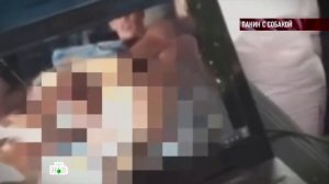 ШОК!!ПАНИН С СОБАКОЙ Эксклюзив!!