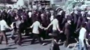 Шах Ирана    Мохаммед Реза Пехлеви