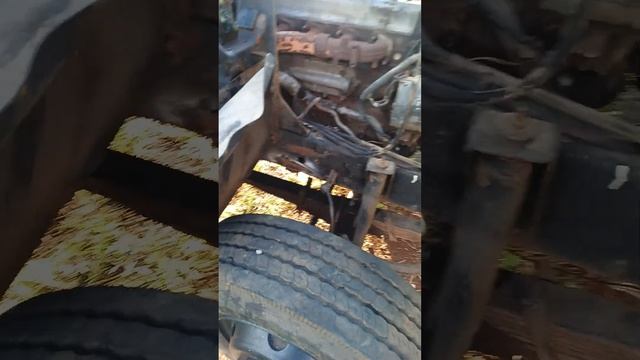 How to locate the chassis number on my Nissan Condor truck