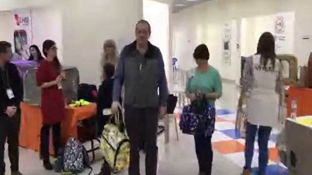 Выставка кошек. Золотая Кошка России
