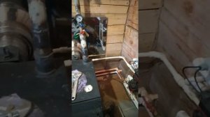 Зота Тополь М 20 кВ