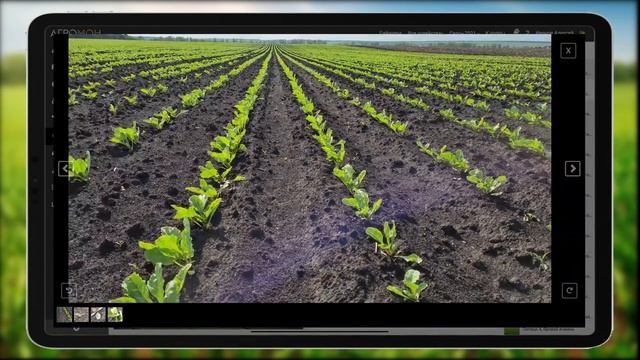 Используйте цифровые решения АгроМон для анализа данных в вашем хозяйстве смотреть онлайн