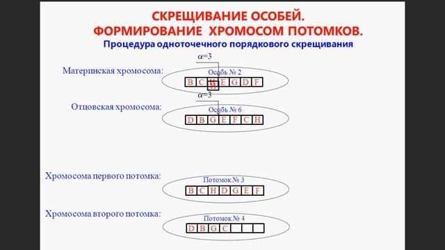 Часть 2. Генетический алгоритм решения задачи о коммивояжере