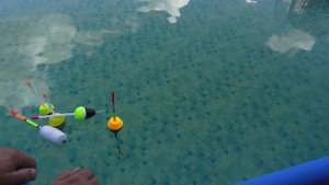 МИФ!!!ОГРУЖАЕМ ПОПЛАВОК ДЛЯ ЛОВЛИ ТОЛСТОЛОБА!!!ЗАЧЕМ???