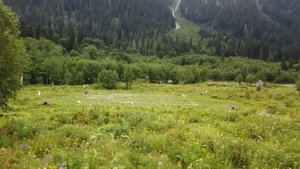 Чёрное озеро. Карачаево-Черкессия. Кислые источники. Пхия 2020