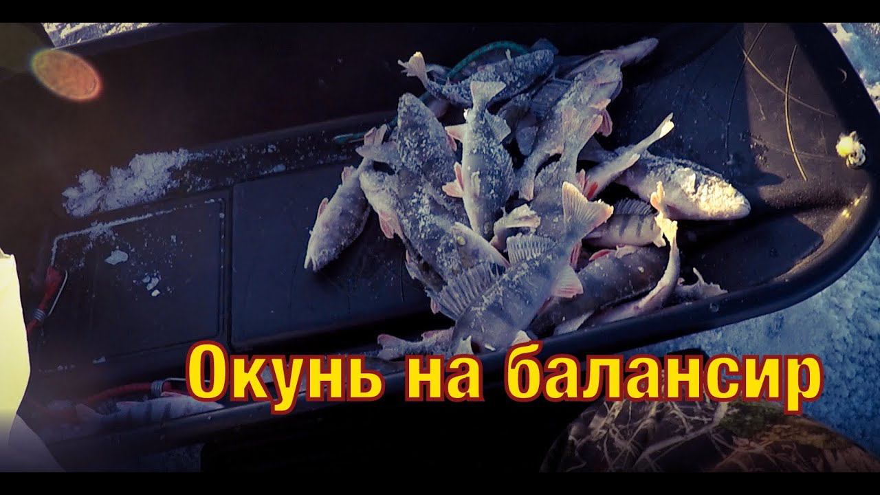 Что этот ПОЛОСАТЫЙ Себе ПОЗВОЛЯЕТ|ЛОВЛЯ ОКУНЯ НА БАЛАНСИР|ЗИМНЯЯ РЫБАЛКА 2020-2021. смотреть онлайн
