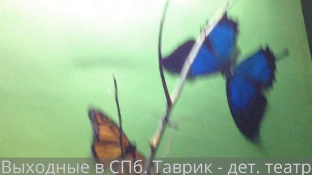 02. Куда не ходить в СПб? Таврик - детский театр смотреть онлайн