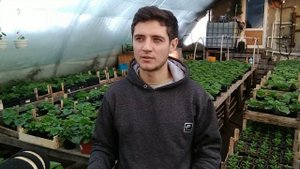 Не стоило сажать эту культуру в 2018 году