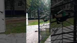 Невыносимое соседство с собачьей площадкой, по адресу Шипиловский проезд д 59.к 2