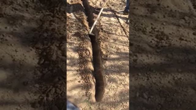 Посадка картофеля под тяпку