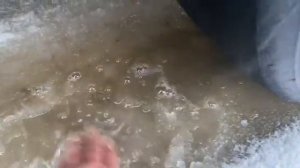 ВАД Нижегородской области