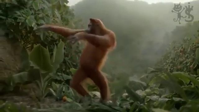 Сегодня будет туса смотреть онлайн