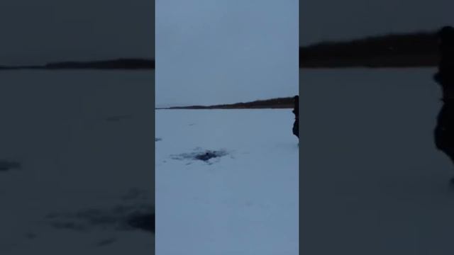 Караганда Зимняя   Рыбалка и отдых первый лед