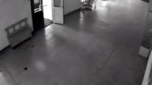 Привидение в Краеведческом музее