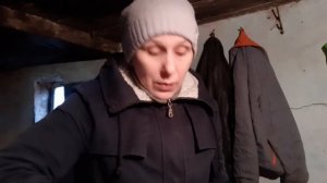 Корм для несушек, какая норма? Мои  мараны не хотят нестись.