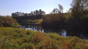 река Веронда (2)  _ Новгородская область