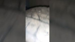 как менять моторное масло в хонде HONDA VAMOS HM1 МИНИВЭН