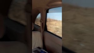 саб 15 качает на разминке в машине