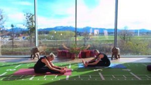 YIN YOGA mit Johanna & Stefan - ONLINE YOGA - ONLINE KURSE