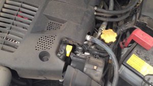 Странный звук при запуске двигателя Subaru Forester S-Edition
