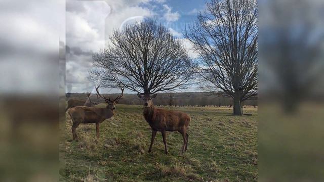 Необычные Фото смотреть онлайн