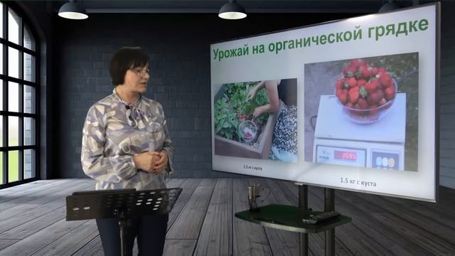 Выращивание ЗЕМЛЯНИКИ. Видеолекция
