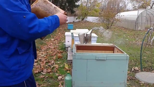 Обработка пчёл бипином от клеща варроа смотреть онлайн