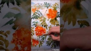 Как просто нарисовать  рябину акварелью