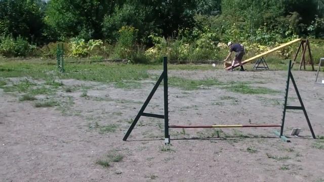 Васильцов Роман и шпиц Винни на соревнованиях по аджилити 2.08.14 смотреть онлайн