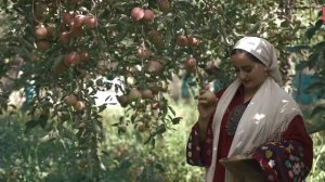 Сарвиноз Юсуфи - Гарми бача - 2023/Sarvinoz Yusufi - Gharmi bacha - 2023