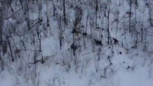 Облучье бугельное