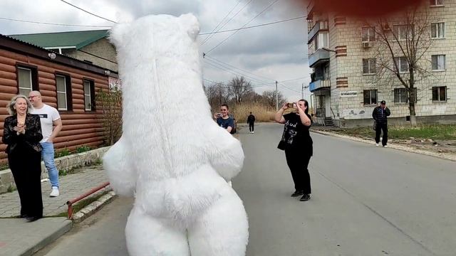 Такому заводному мишке невозможно отказать! Поздравление от белого медведя