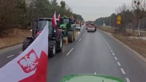 Ну что сынку помогли тебе твои ляхи?