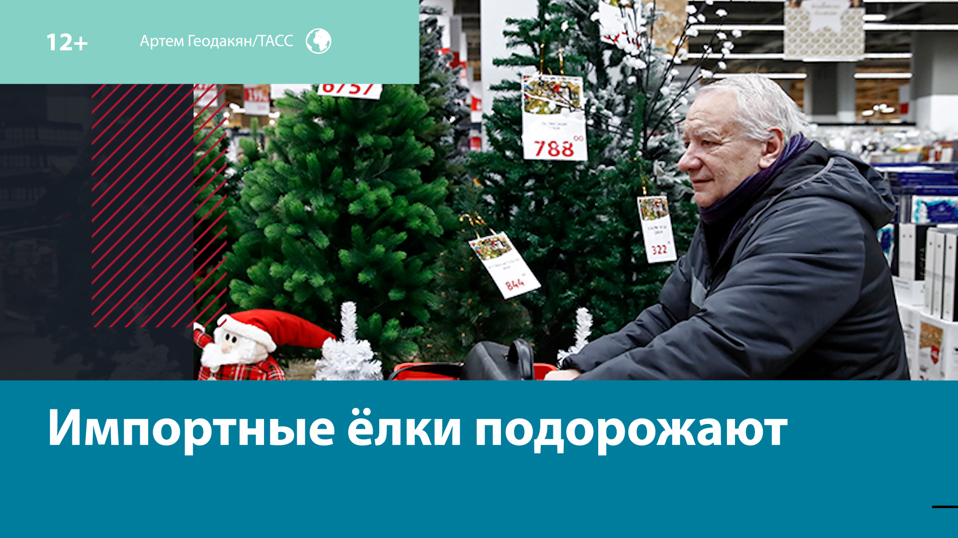 В этом году почти в 2 раза вырастет цена на импортные новогодние ёлки — Москва FM