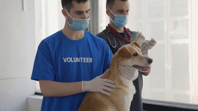 Этого щенка бросили с патологией, и то что из него выросло удивило всех смотреть онлайн