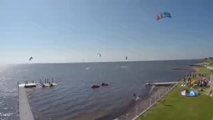 Приколы с котами – Смешная озвучка животных – ПАУЧОК ПАША от PSO