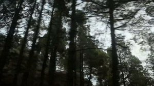 2026 Toyota Highlander *WHISPERS*