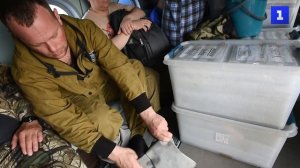 В Норильске по экопрограмме в озеро выпустили мальков нельмы