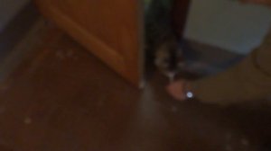 Электрический лифт (г. Ивантеевка), V=1 м-с, г-п 400 кг (7), музыкальный лифт КМЗ