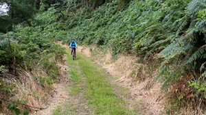 Провинция Ирландии и как ирландцы проводят свои выходные. -  Province of Ireland.
