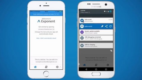 What is React native | Javascript | Developer