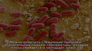 Профилактика и борьба с кишечной палочкой в простате