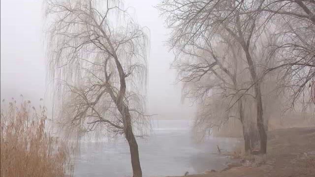 Синичкин календарь. Ноябрь