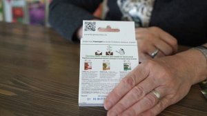 Когда сажать Астры ✔️ Посадка и Уход за Каллистефусом ? Советы от хитсад тв