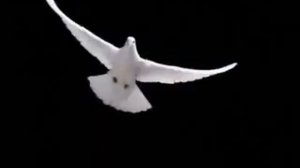 Истинное рождение свыше.Евгений Девятьяров.