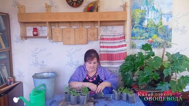 Уход за зеленью смотреть онлайн